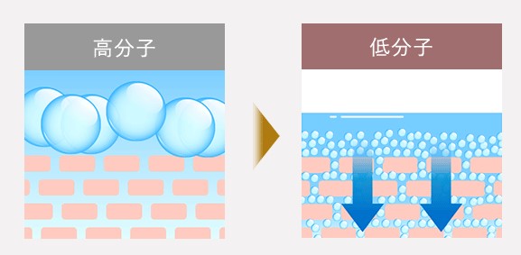 シンピストの真皮浸透設計