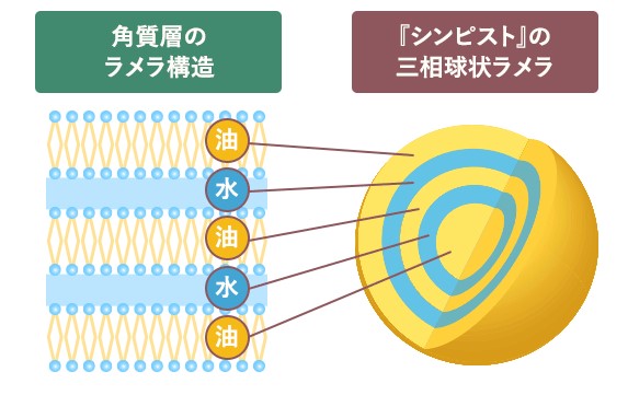シンピストの三相乳化法