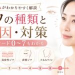 シワの種類は4つ｜原因・見分け方・対策とグレード0〜7を元BAが解説