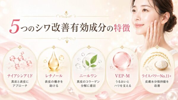 5つのシワ改善有効成分の特徴