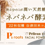 ピーズルーツの米ぬか酵素洗顔パウダーを1ヶ月使ってみたレビュー~効果や使い方