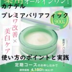 カナデル プレミアバリアフィックス 使い方のポイントと実践